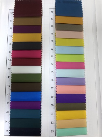 DG-WS  1822  100%Nylon  300T 40D 正面照